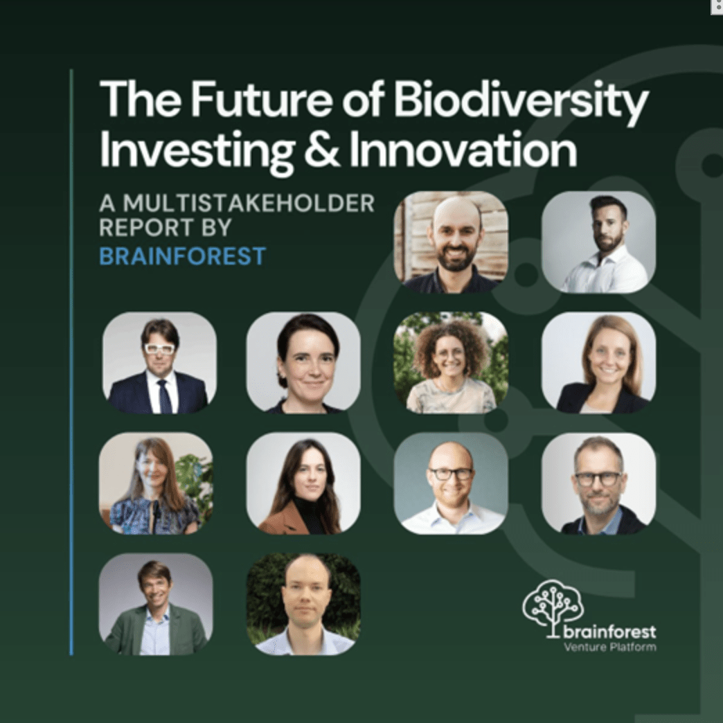 Screenshot 2025-04-14 at 20.02.52