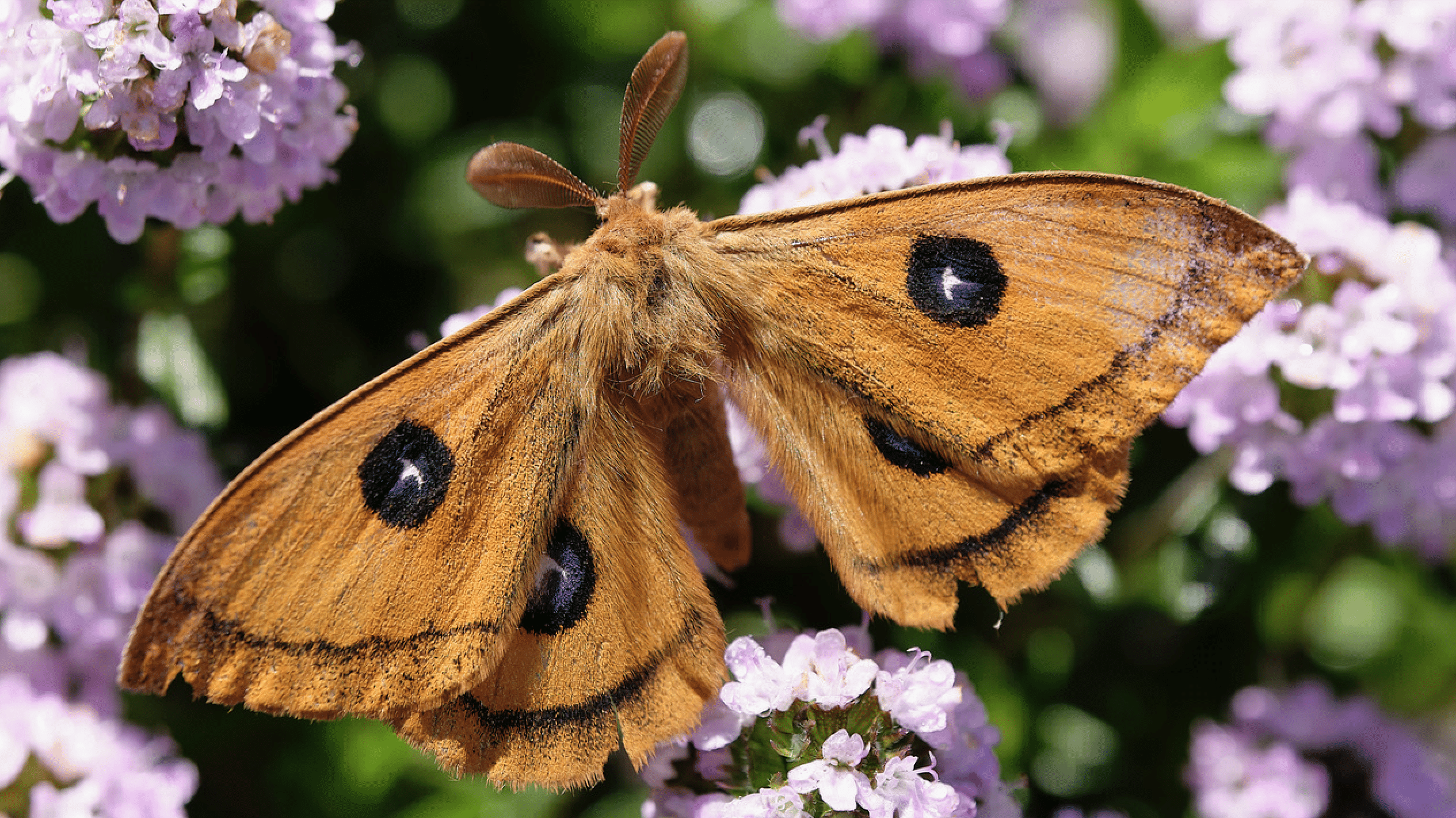 Screenshot 2025-11-18 at 12.08.24