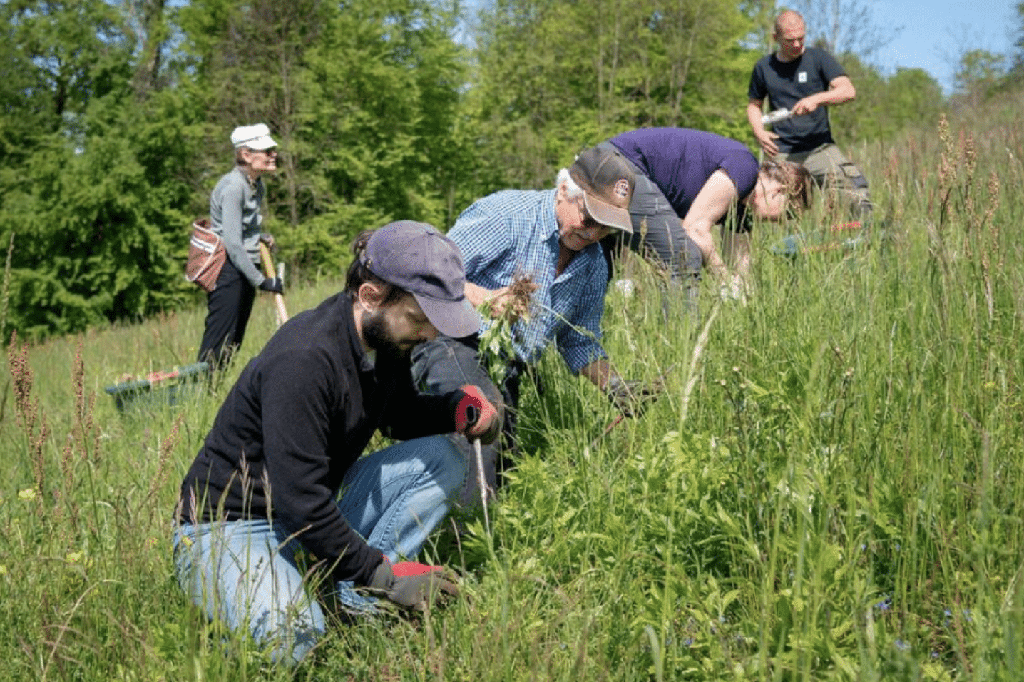 Screenshot 2025-11-18 at 12.14.20