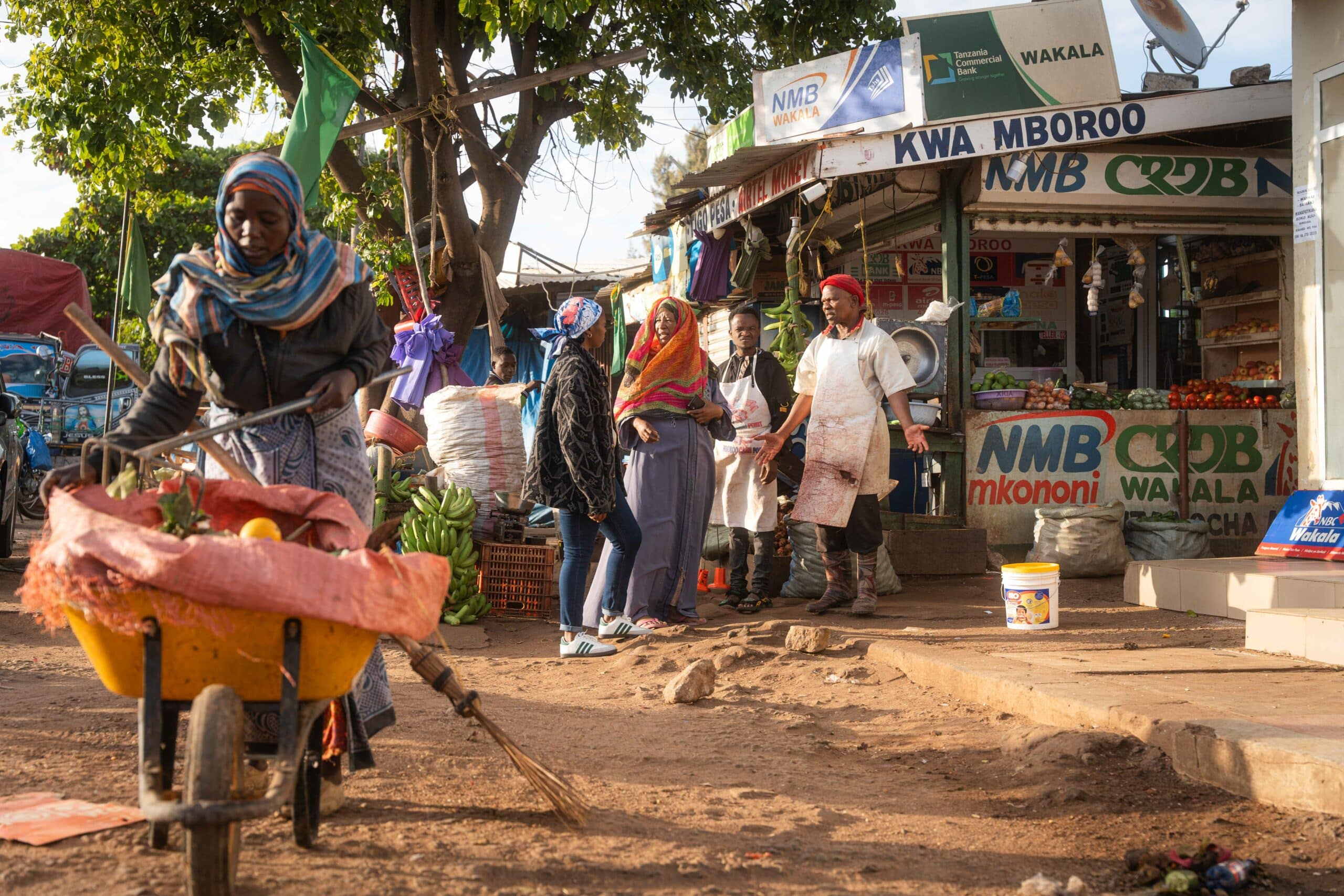 RS55191_TZA_2025_Sauti na Nafasi_Yusuf Msafiri-113