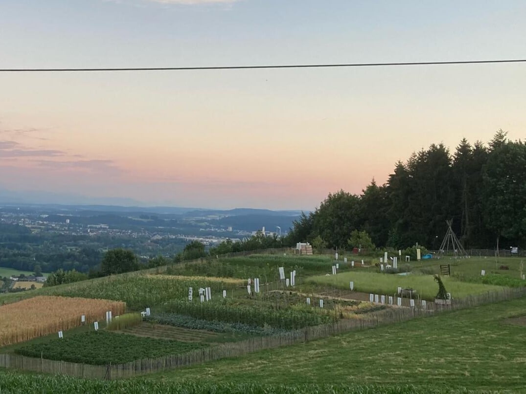 Weltacker_Attiswil_Acker-2025